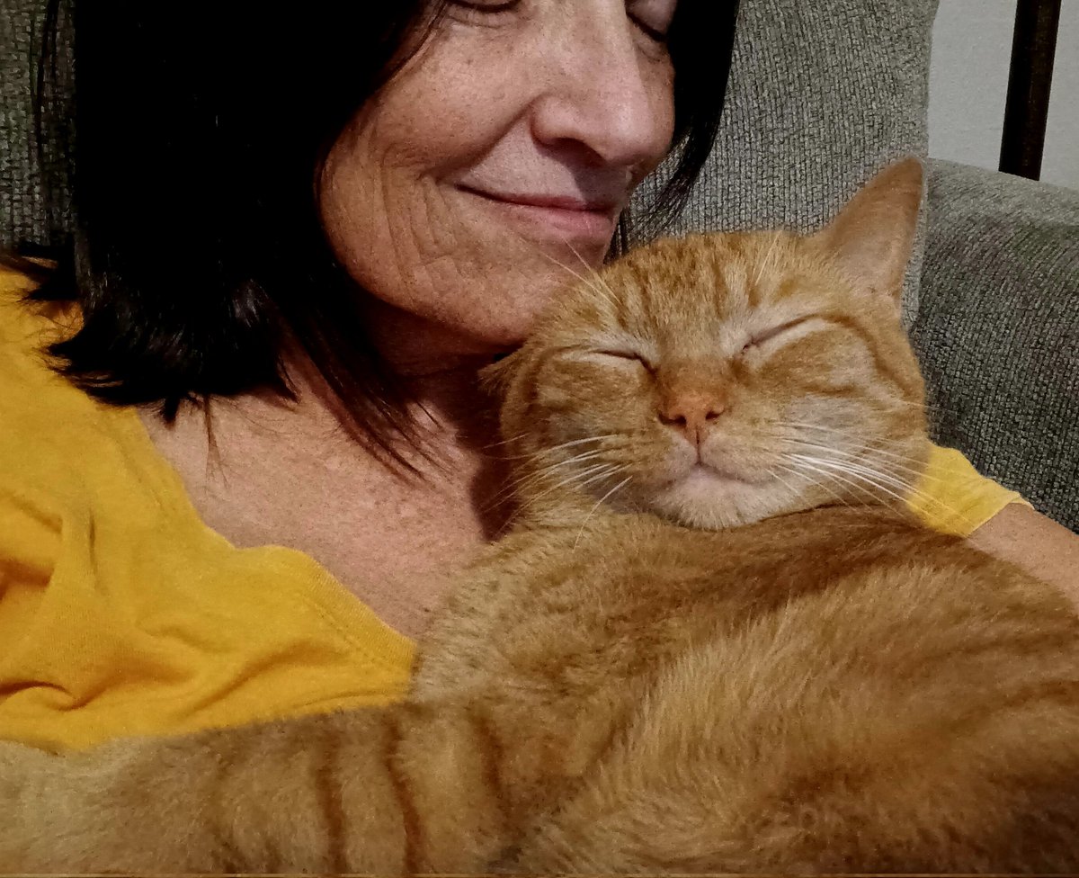 Mama's boy, Benji. #Caturday 🐈🐈‍⬛🐈
