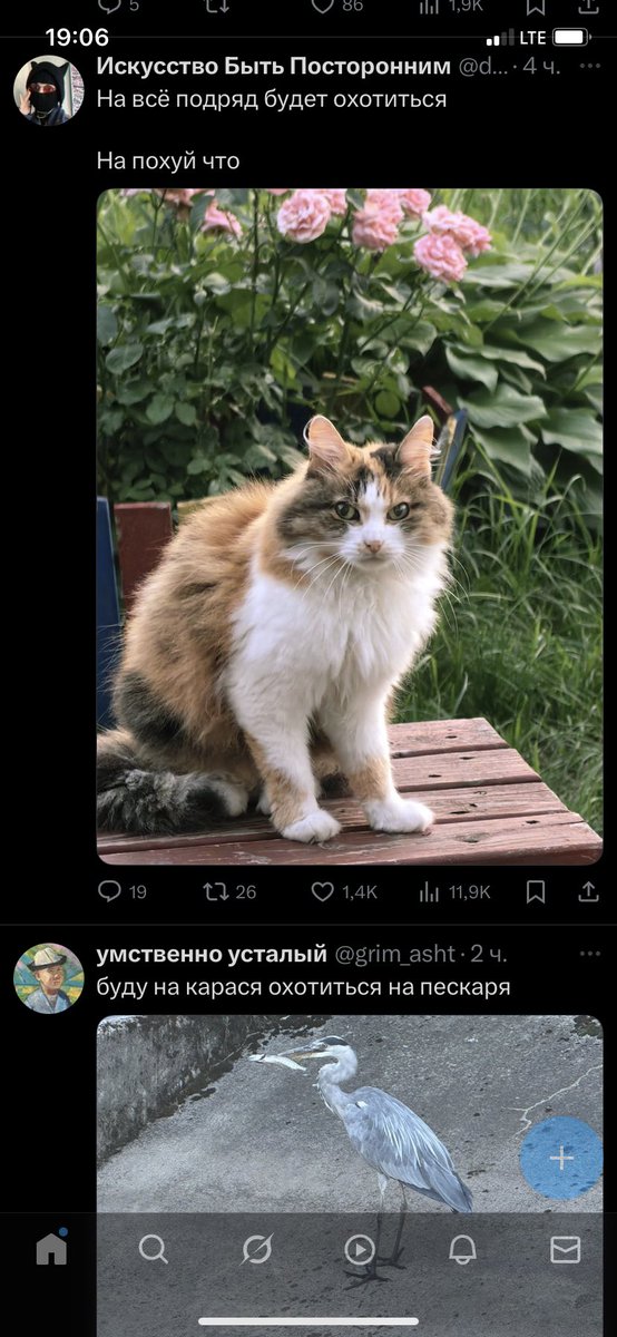 Чо началось то опять