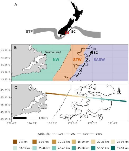 Seabirders's tweet image. 🚨 A 9-year seabird study in southeast Aotearoa/New Zealand reveals shifts tied to season, distance from shore & ocean conditions. Nearly 40% of species show signs of climate-driven change in the SW Pacific. 🌊🐦
🔗 bit.ly/44H2rPO
#ClimateChange #Seabirds