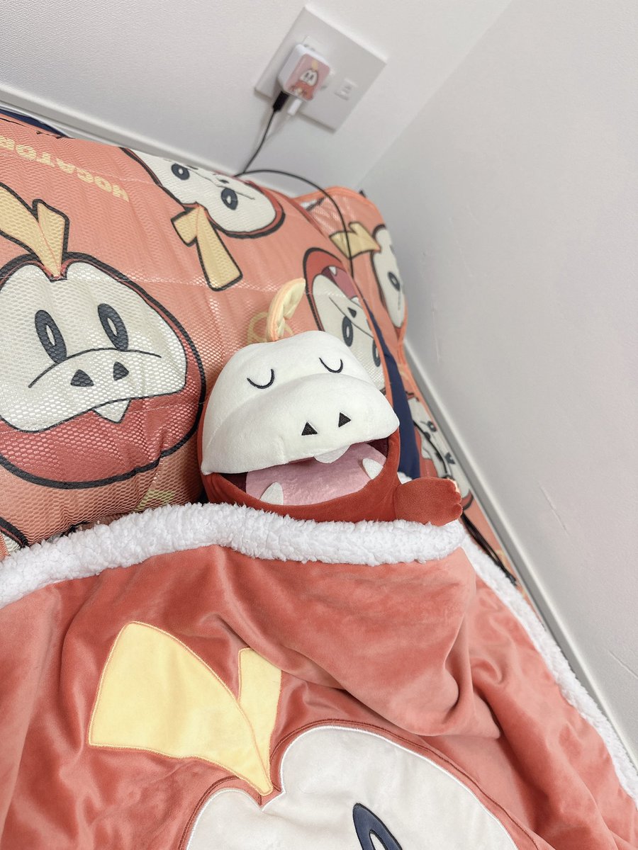 我が家にもおやすみなホゲータさんがやってきてくれました🥺✨
今夜から一緒にねんねします🥺💤
熟睡できることでしょう💤😴✨