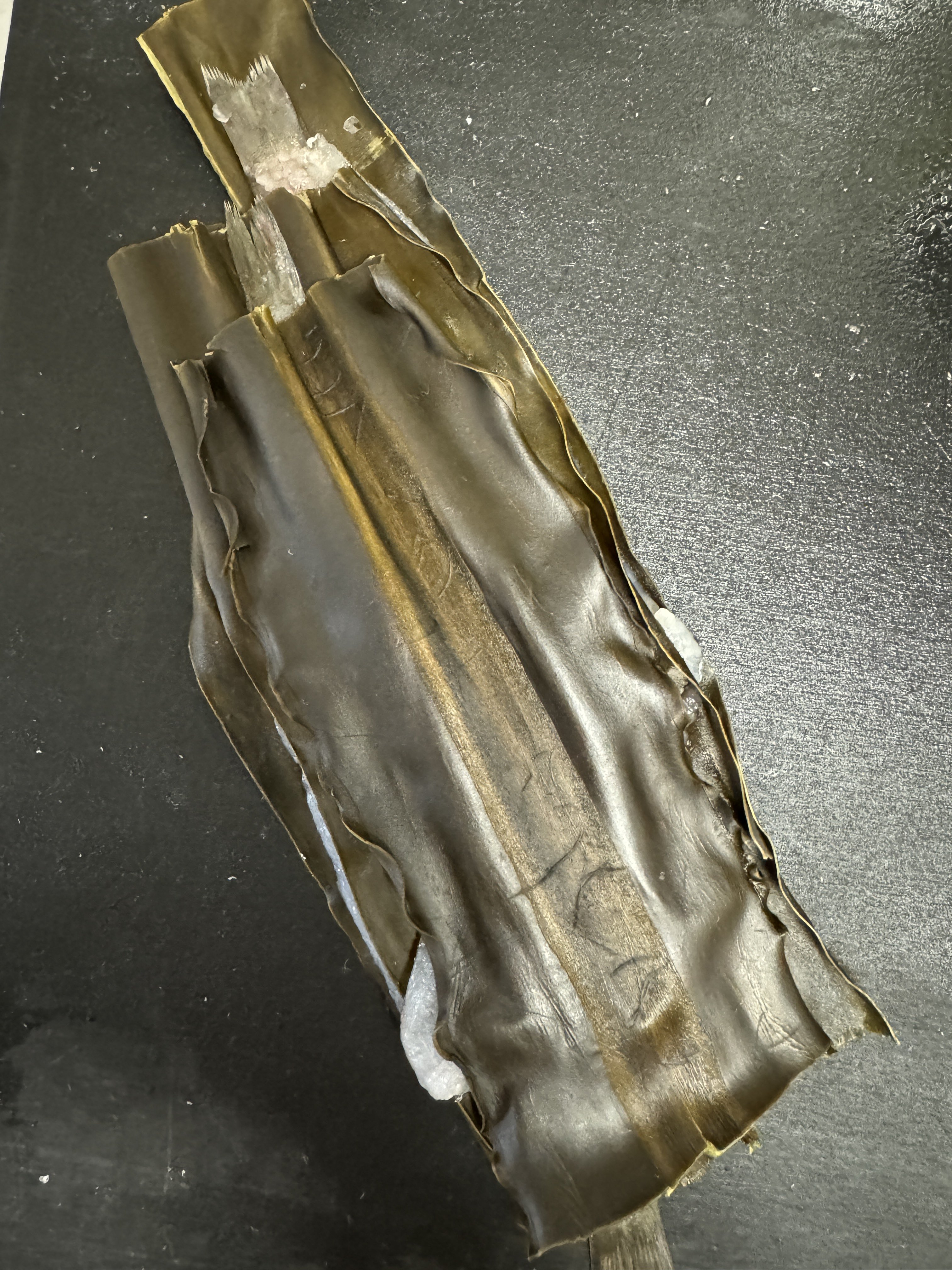 じゅっぴー@柏 (@juppyjappy_ksw) / X