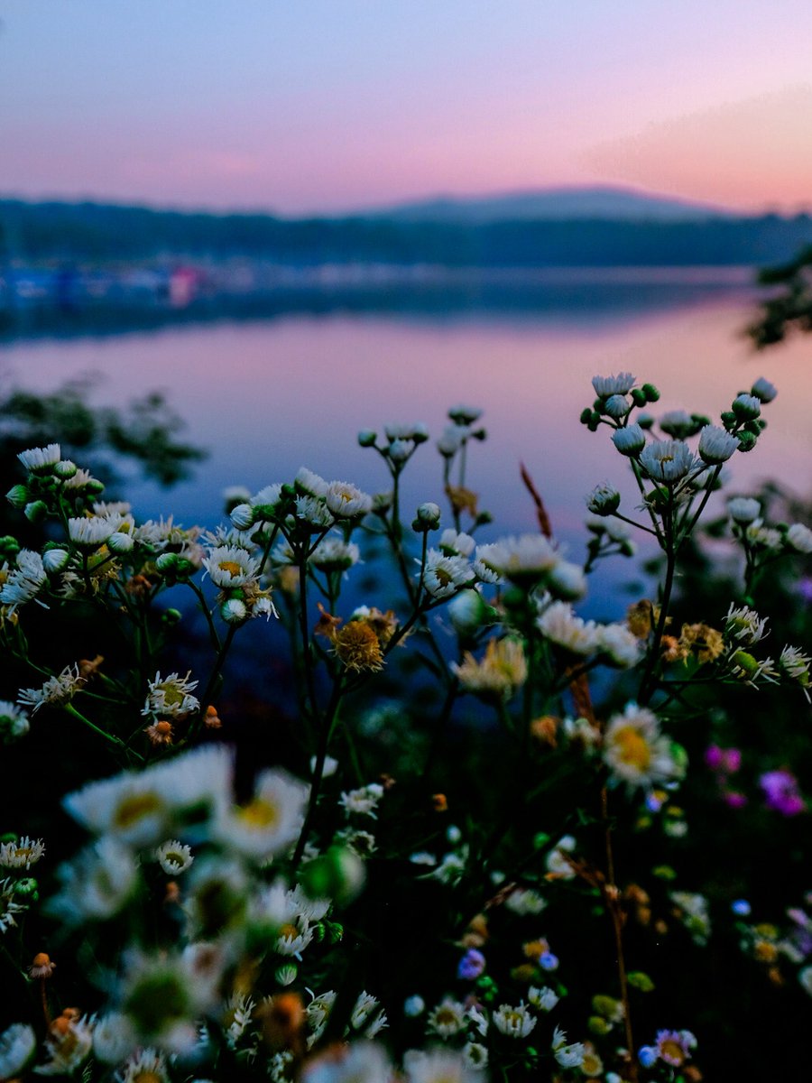 Nevin Johnson tweet media