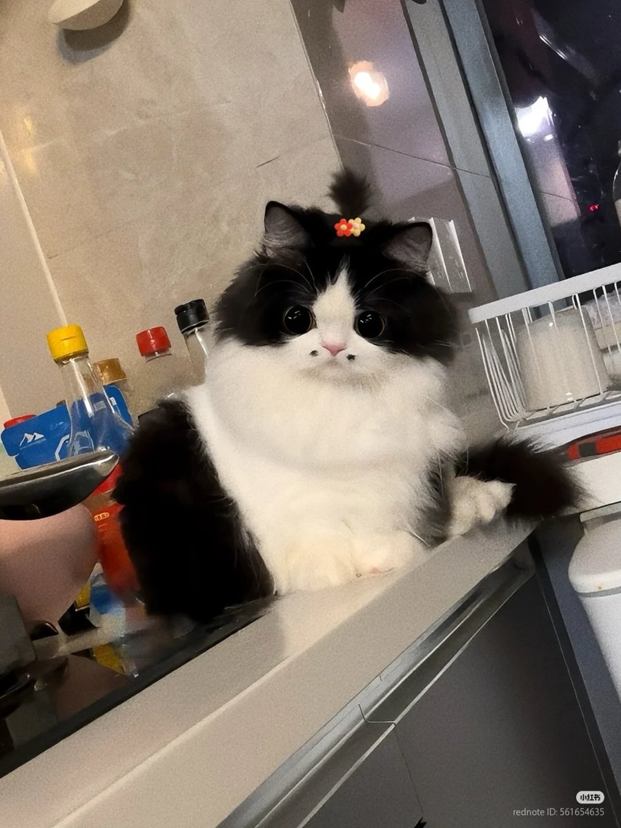 👉👈