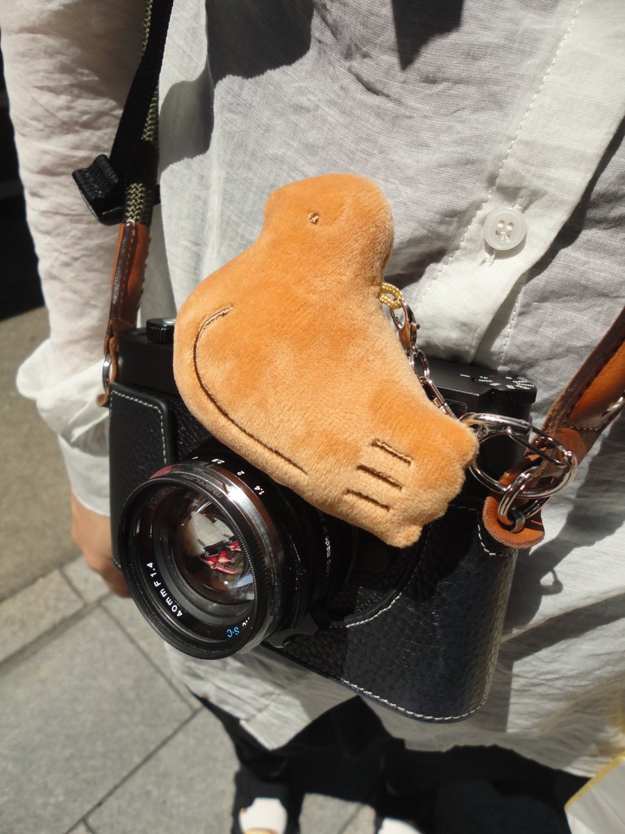 cameraotoko83's tweet image. 妻は鳩サブラー。
鳩サブレの本店でキーホルダーをご購入🐦
しかし、フィルムカメラ時のサブ機としてオールドコンデジが優秀すぎる📸
サクッと撮りたい時は大活躍なのだ🐦
#カキナカ
#鎌倉巡礼
#サイバーショット
#dscw350