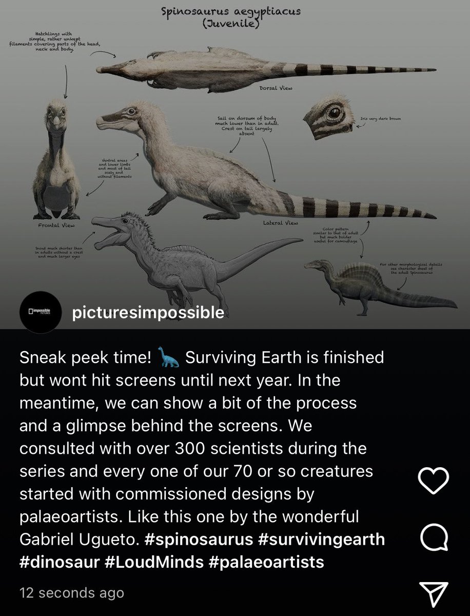 TMtheEQplusNerd's tweet image. FIRST LOOK AT BABY SPINOSAURUS FROM SURVIVING EARTH VIA IMPOSSIBLE PICTURES ACCOUNT
Art by @SerpenIllus