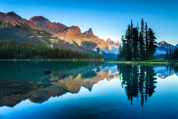 Vet55Old's tweet image. Nature time