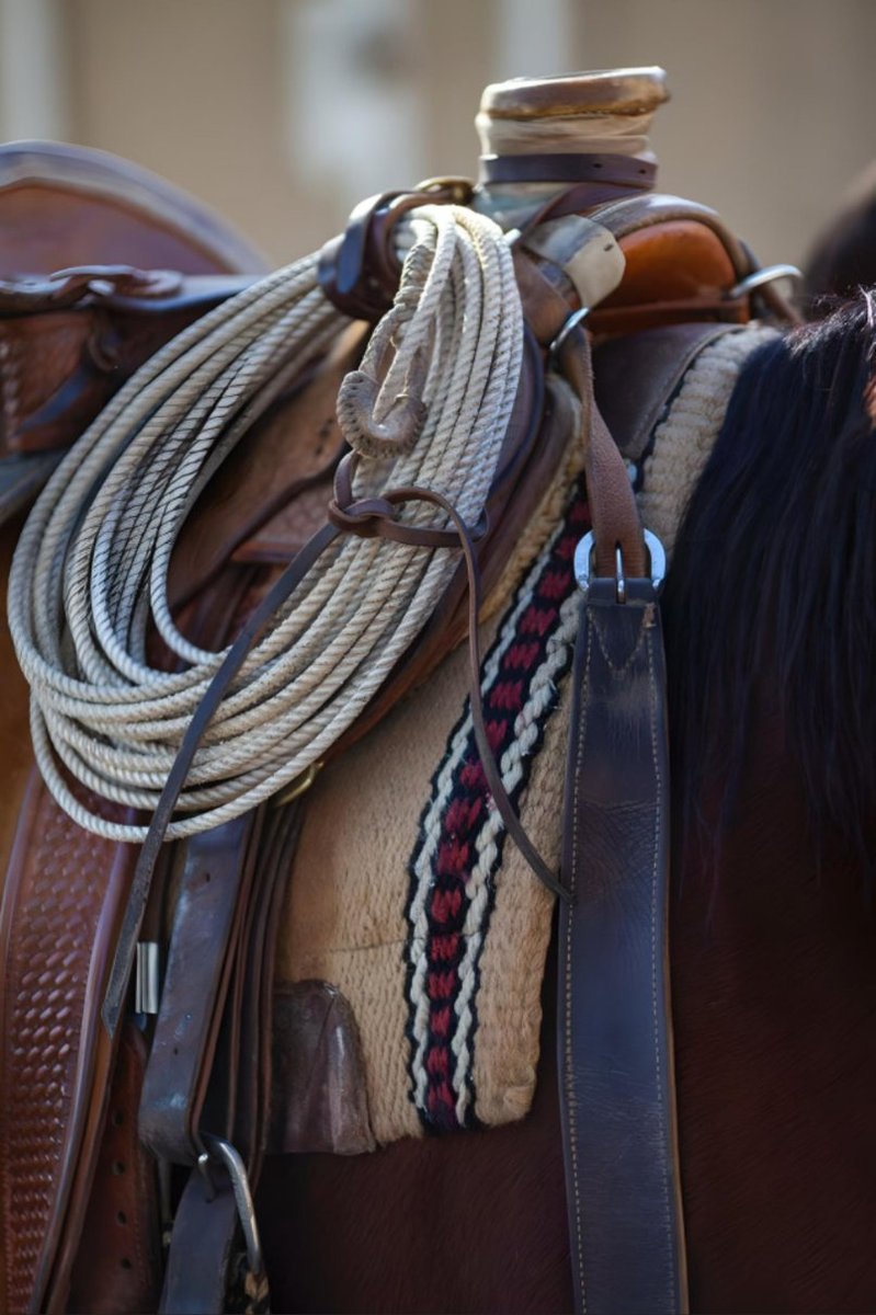 Shaughn ☘️🌴🌎🌊⛳🏌️ (@scantybeach) on Twitter photo 