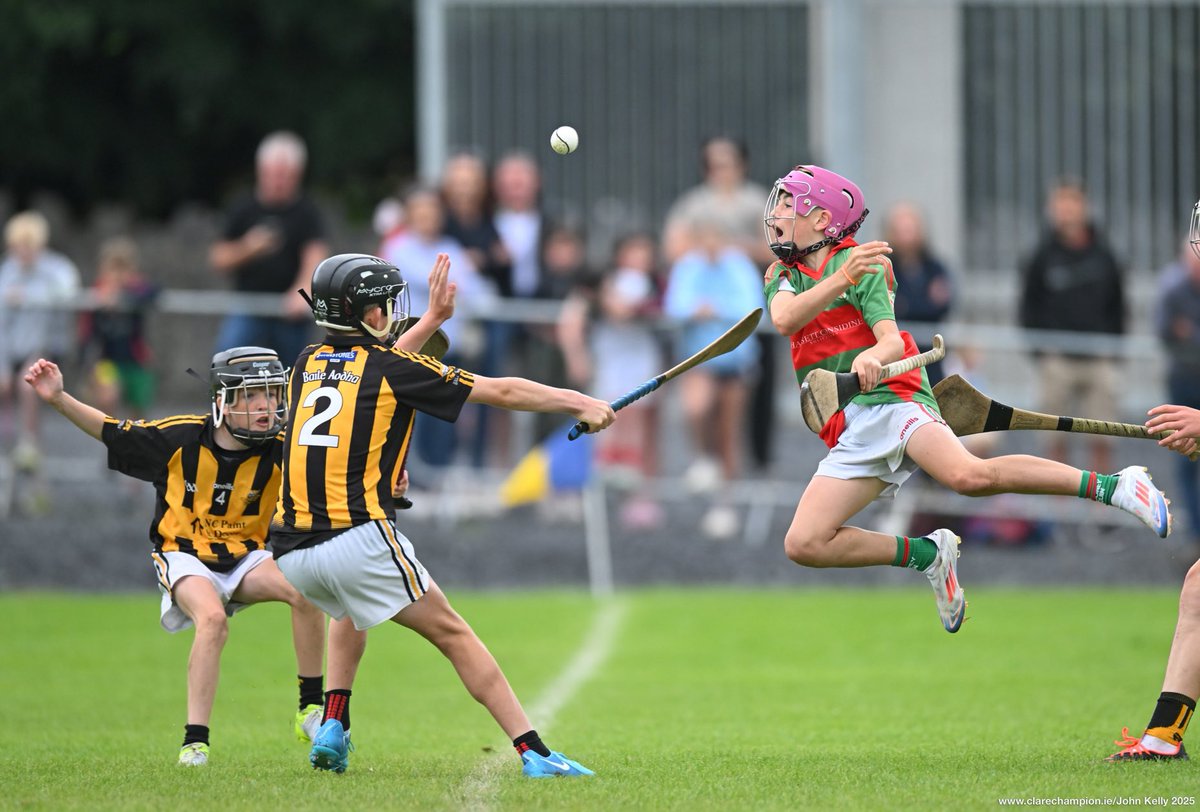 The Clare Champion tweet media