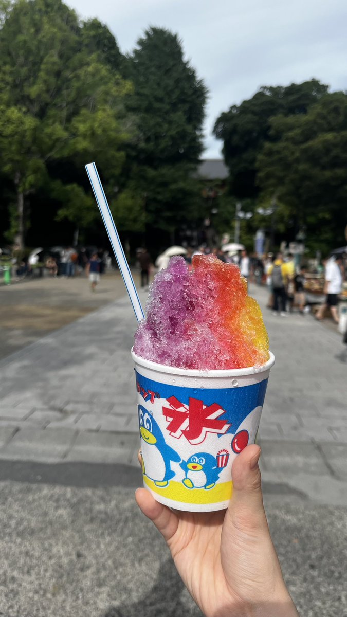 大人になりたくないんじゃなくて、何歳になってもかき氷をカラフルにしたい欲に従う純粋さを忘れたくないのかもしれない🍧
次はブルーハワイも置いといてね。