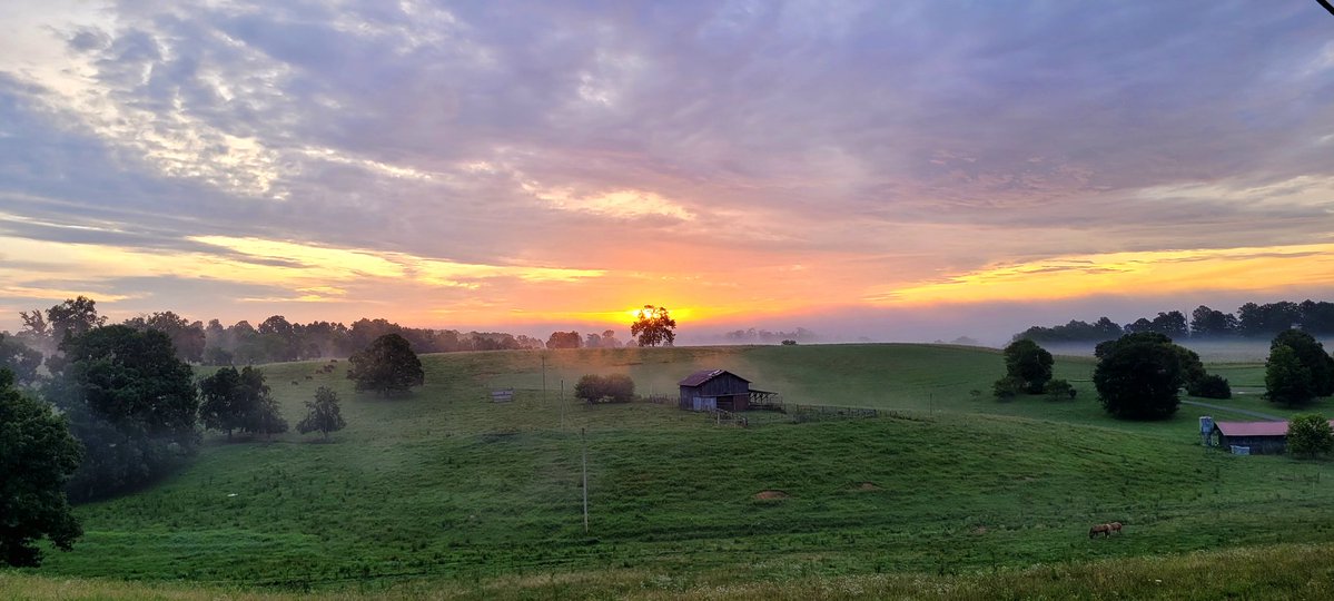 longhunter09's tweet image. It is a beautiful morning in my corner of Kentucky. Thank you for letting me share it with you.