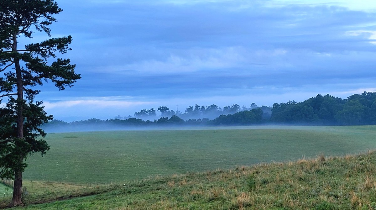 longhunter09's tweet image. It is a beautiful morning in my corner of Kentucky. Thank you for letting me share it with you.