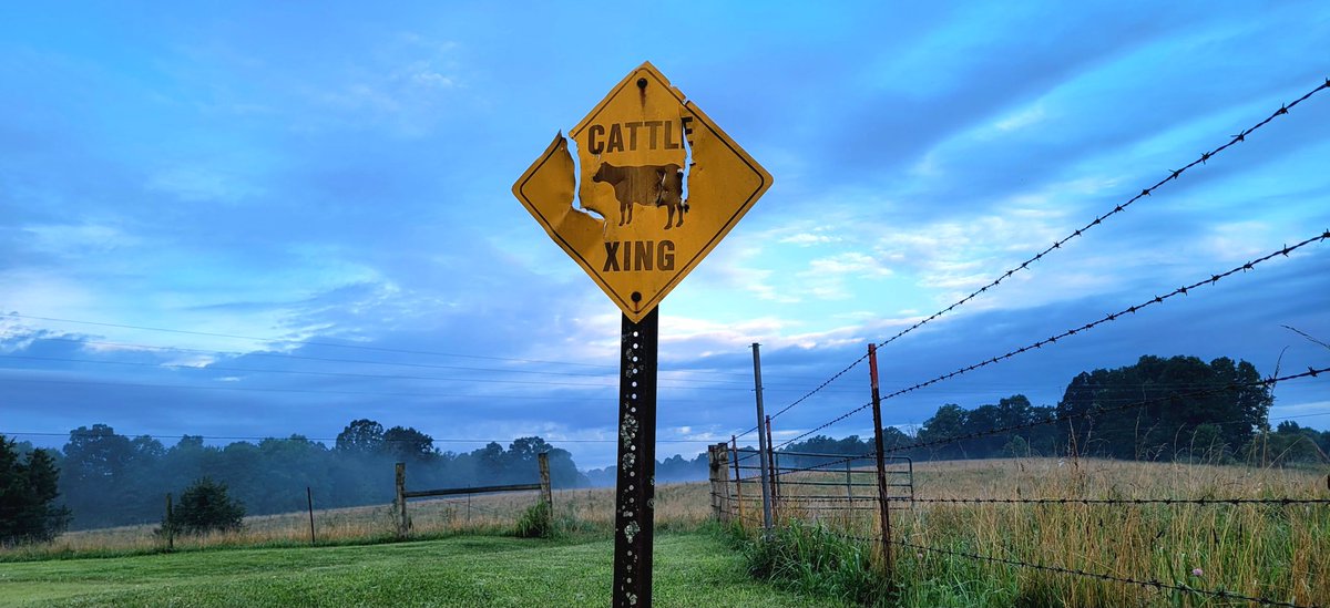 longhunter09's tweet image. It is a beautiful morning in my corner of Kentucky. Thank you for letting me share it with you.