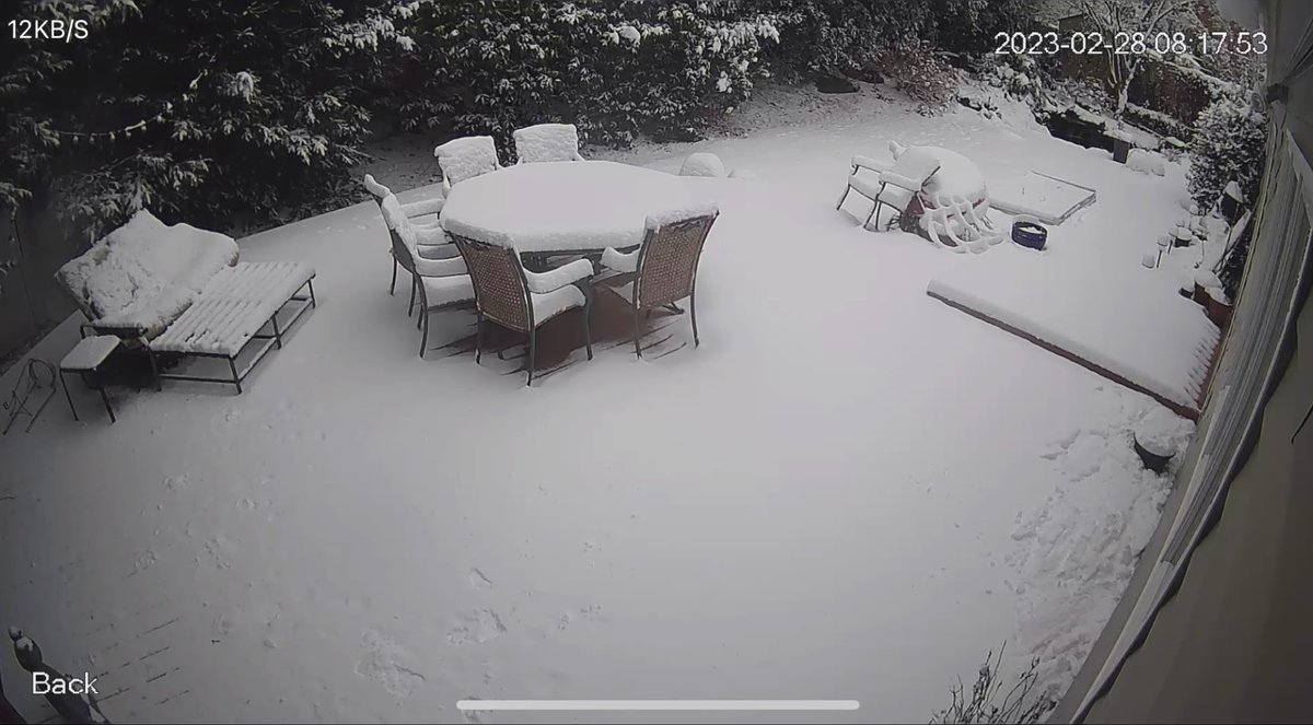 AlexCalamiaWx's tweet image. Do we prefer the first or second photo of my patio? You know my pick 🤣