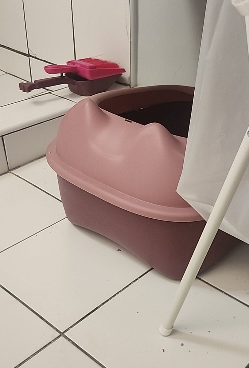 עם כל הכבוד לטמפטיישן, הבית זה איפה שארגז החול נמצא