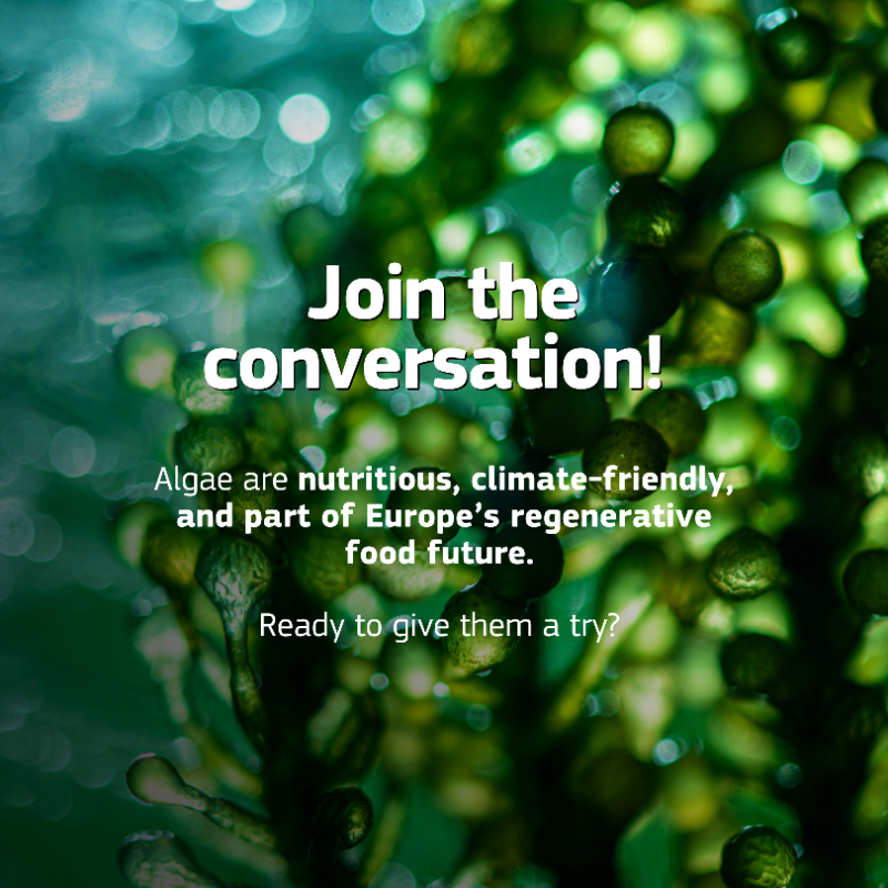 EU_MARE's tweet photo. #DidYouKnow? Algae are nutrient-rich, resource-efficient, and already used in food, bioplastics &amp; more! 🌱 

👉 Swipe the carousel to explore how algae support Europe’s regenerative food and innovation system. 

#EU #EMFAF #EU4Algae