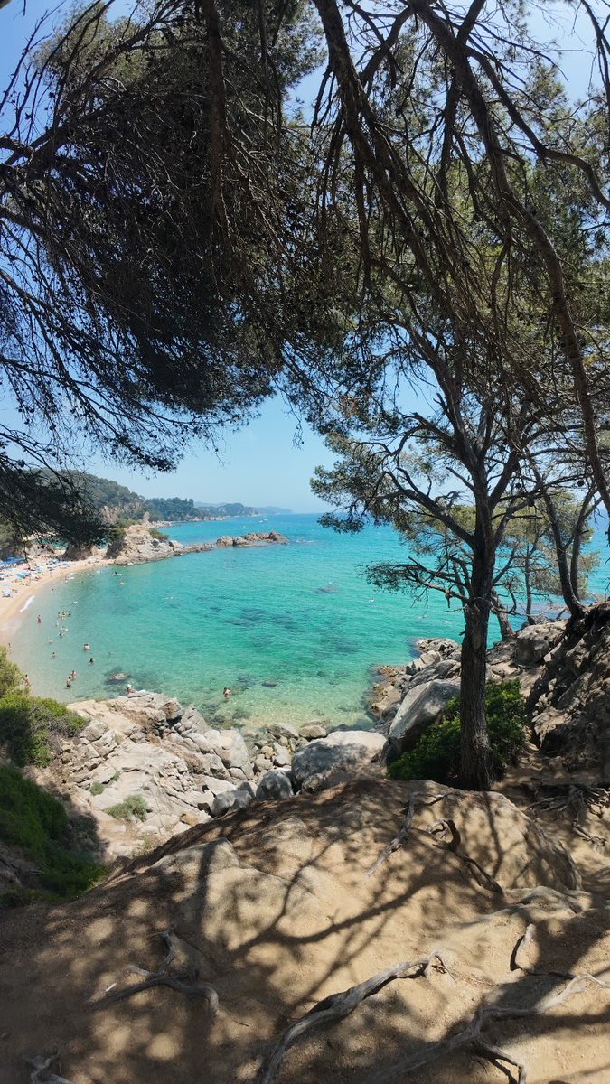 Goldenyoung131's tweet photo. Finde rico

Chudai
Barcelona https://t.co/0dzWgxRPH4