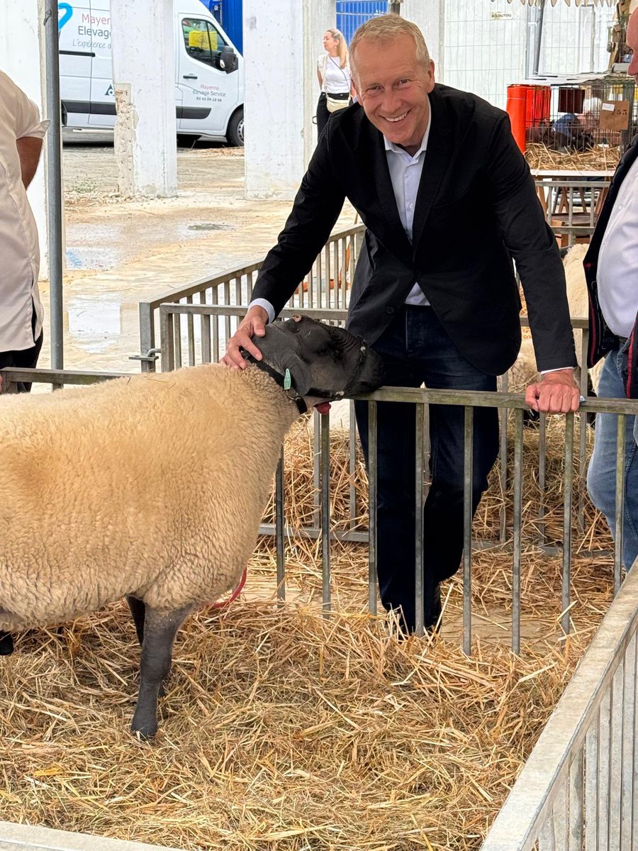 guillaumegarot's tweet image. La fête de la Madeleine, à Mayenne, est aussi la fête de l’élevage.
Bravo à tous les éleveurs passionnés venus présenter leurs animaux, et défendre une agriculture de qualité, ancrée dans notre bocage.
