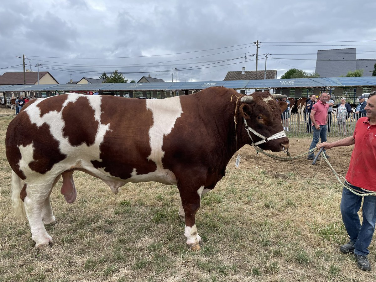 guillaumegarot's tweet image. La fête de la Madeleine, à Mayenne, est aussi la fête de l’élevage.
Bravo à tous les éleveurs passionnés venus présenter leurs animaux, et défendre une agriculture de qualité, ancrée dans notre bocage.