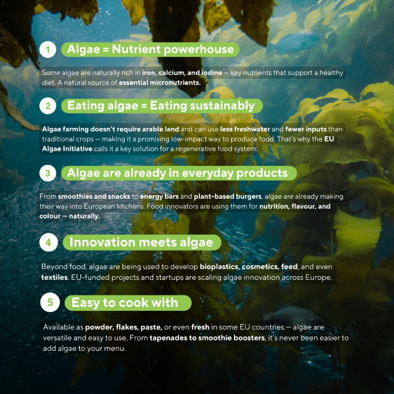 EU_MARE's tweet photo. #DidYouKnow? Algae are nutrient-rich, resource-efficient, and already used in food, bioplastics &amp; more! 🌱 

👉 Swipe the carousel to explore how algae support Europe’s regenerative food and innovation system. 

#EU #EMFAF #EU4Algae