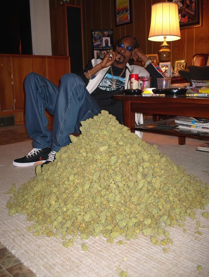 Smoke weed everyday 💨
📸 <a href="/SnoopDogg/">Snoop Dogg</a>