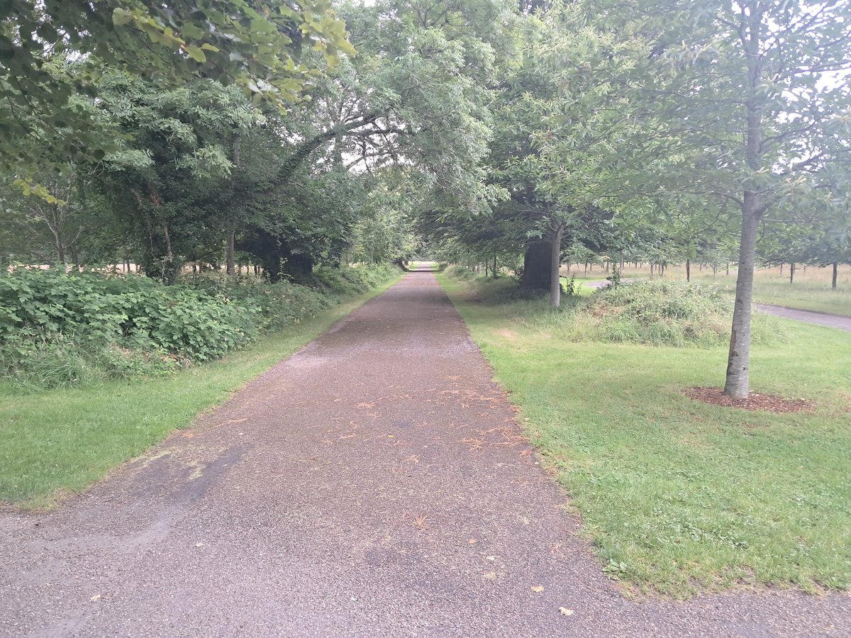 Tommy owens tweet media