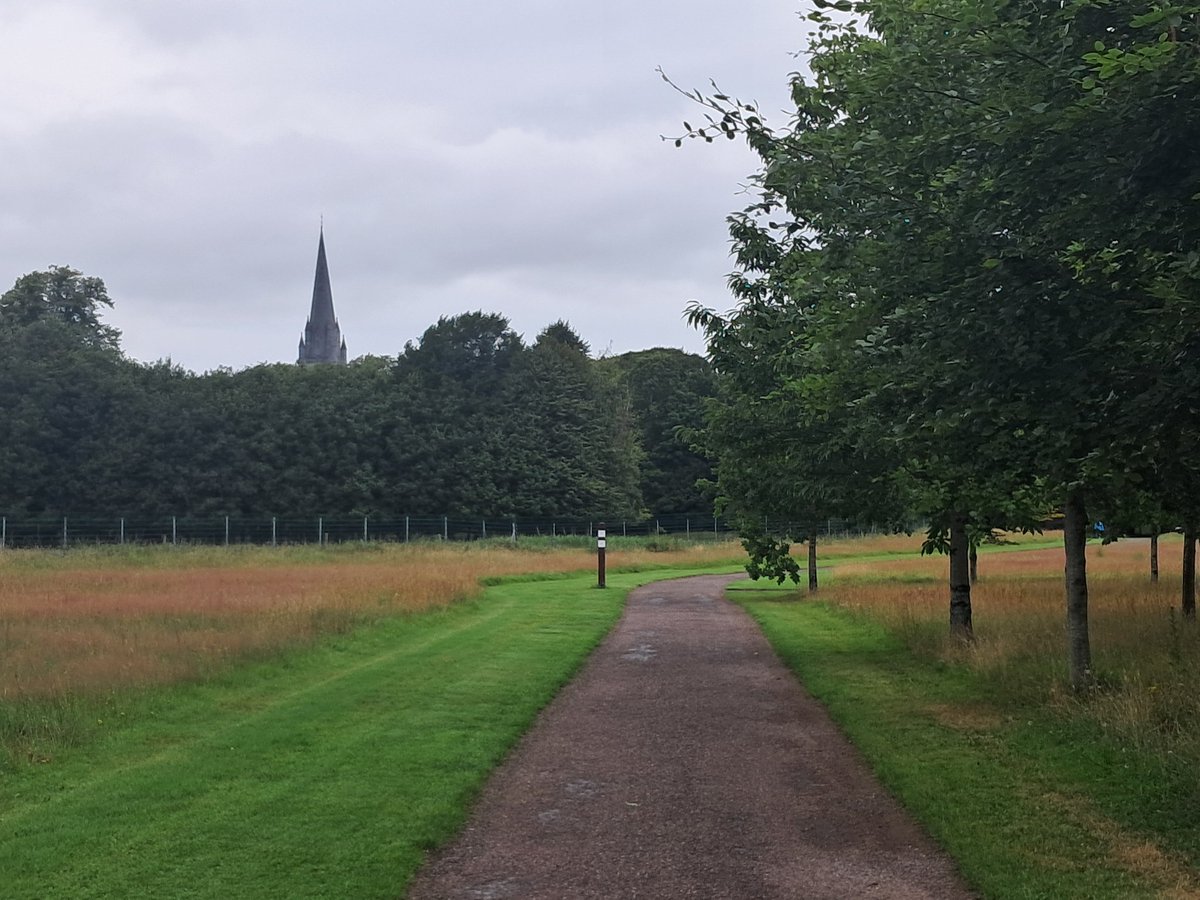 Tommy owens tweet media