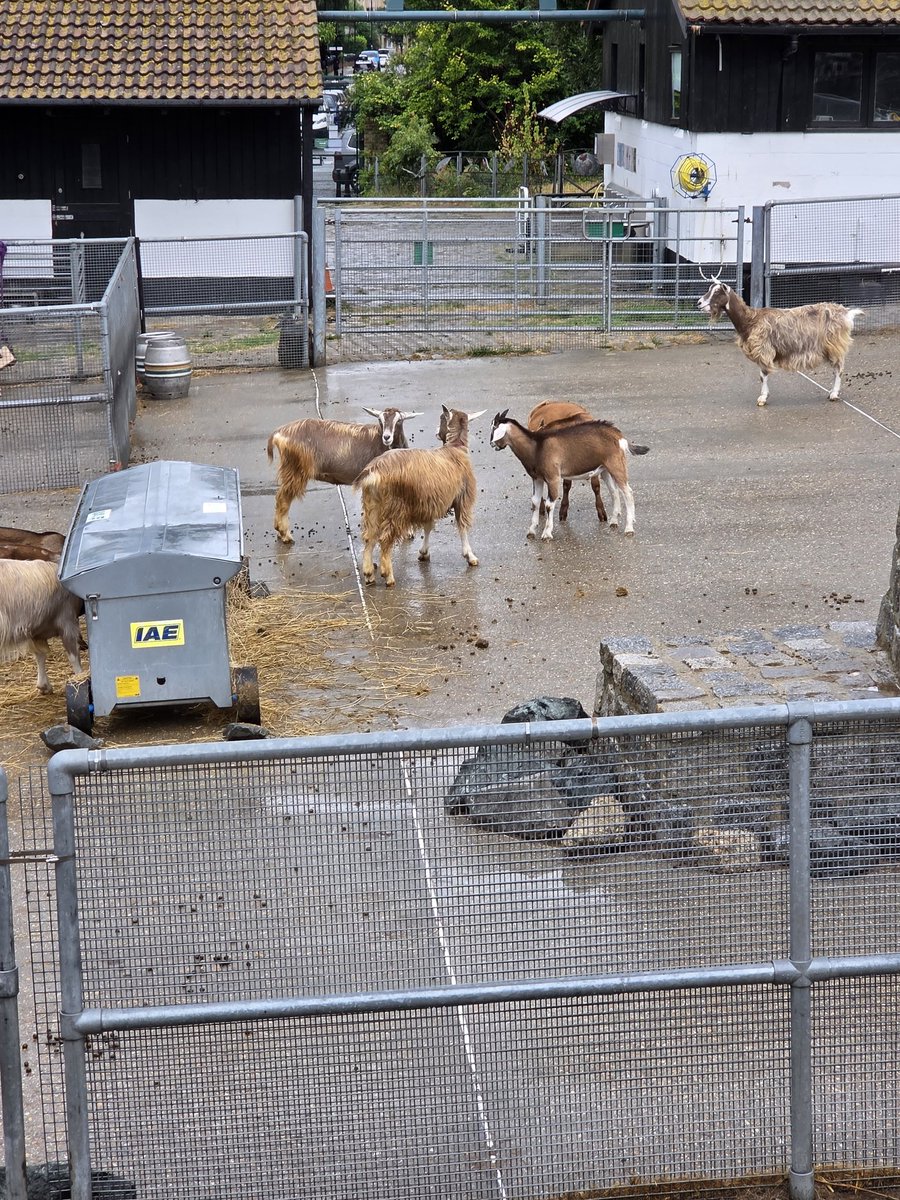 Cllr Adam Hood tweet media