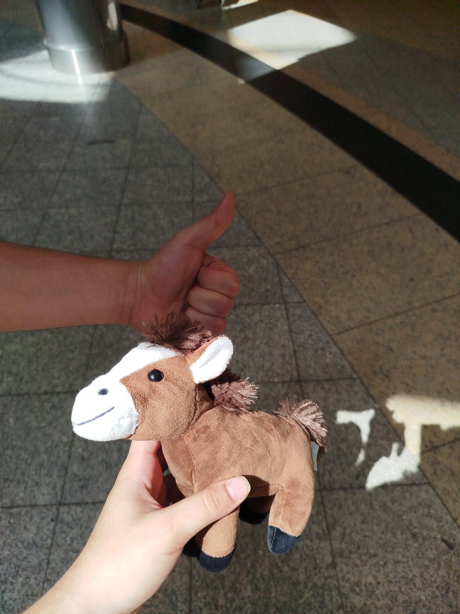 Cynamii's tweet image. Honse 🐴