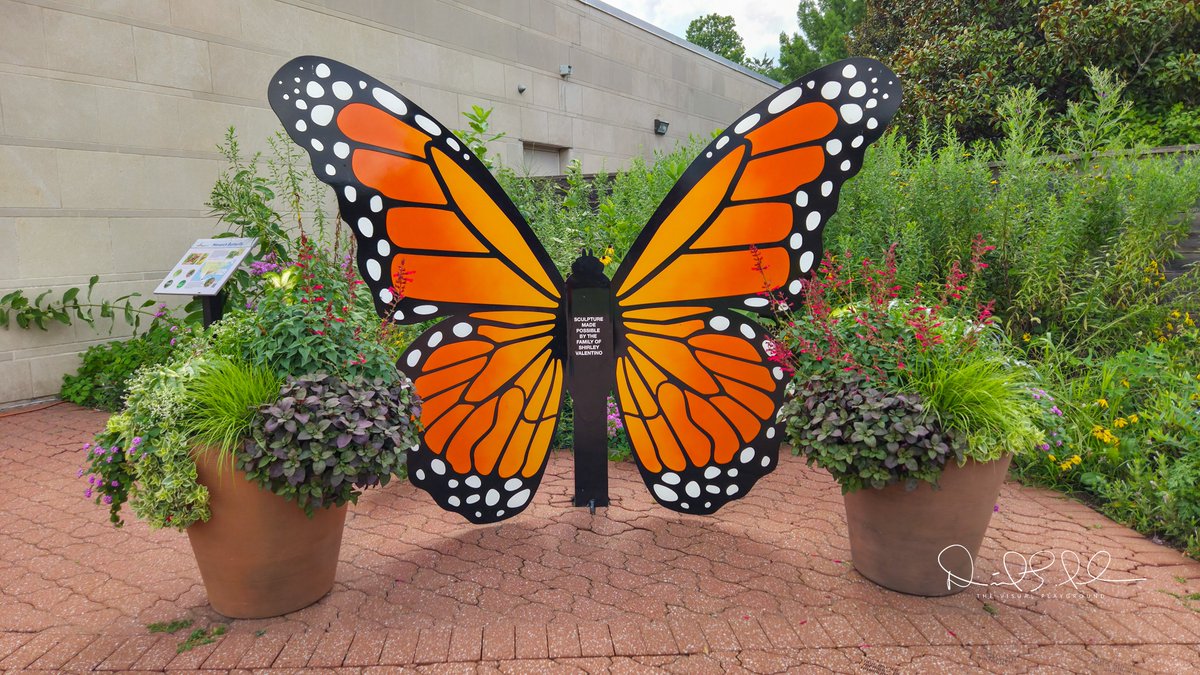 Infiniteredtape (@infiniteredtape) on Twitter photo Faust Park, Chesterfield, Missouri. The Butterfly House.
<a href="/explorestlouis/">Explore St. Louis</a> <a href="/VisitMO/">Visit Missouri</a> <a href="/ButterflyHse/">Sophia M Sachs Butterfly House</a> <a href="/ChesterfieldCH/">CityofChesterfieldMO</a> Faust Park, Chesterfield, Missouri. The Butterfly House.
<a href="/explorestlouis/">Explore St. Louis</a> <a href="/VisitMO/">Visit Missouri</a> <a href="/ButterflyHse/">Sophia M Sachs Butterfly House</a> <a href="/ChesterfieldCH/">CityofChesterfieldMO</a>