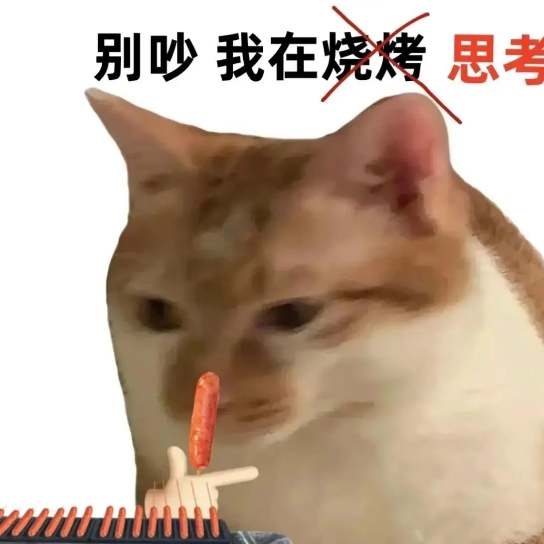 媒体预览