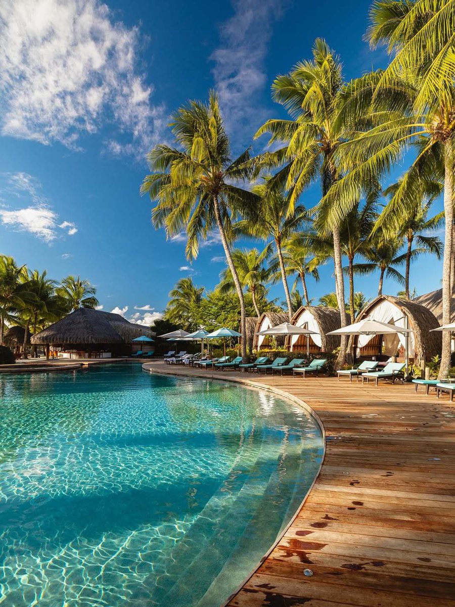 Touristically_'s tweet image. Four Seasons Resort Bora Bora🌴

Booking link: skyscanner.pxf.io/LKDNbZ