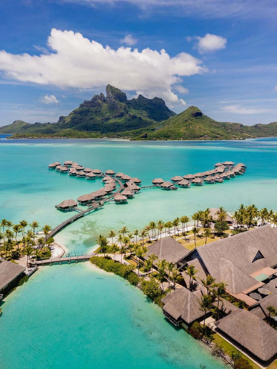 Touristically_'s tweet image. Four Seasons Resort Bora Bora🌴

Booking link: skyscanner.pxf.io/LKDNbZ