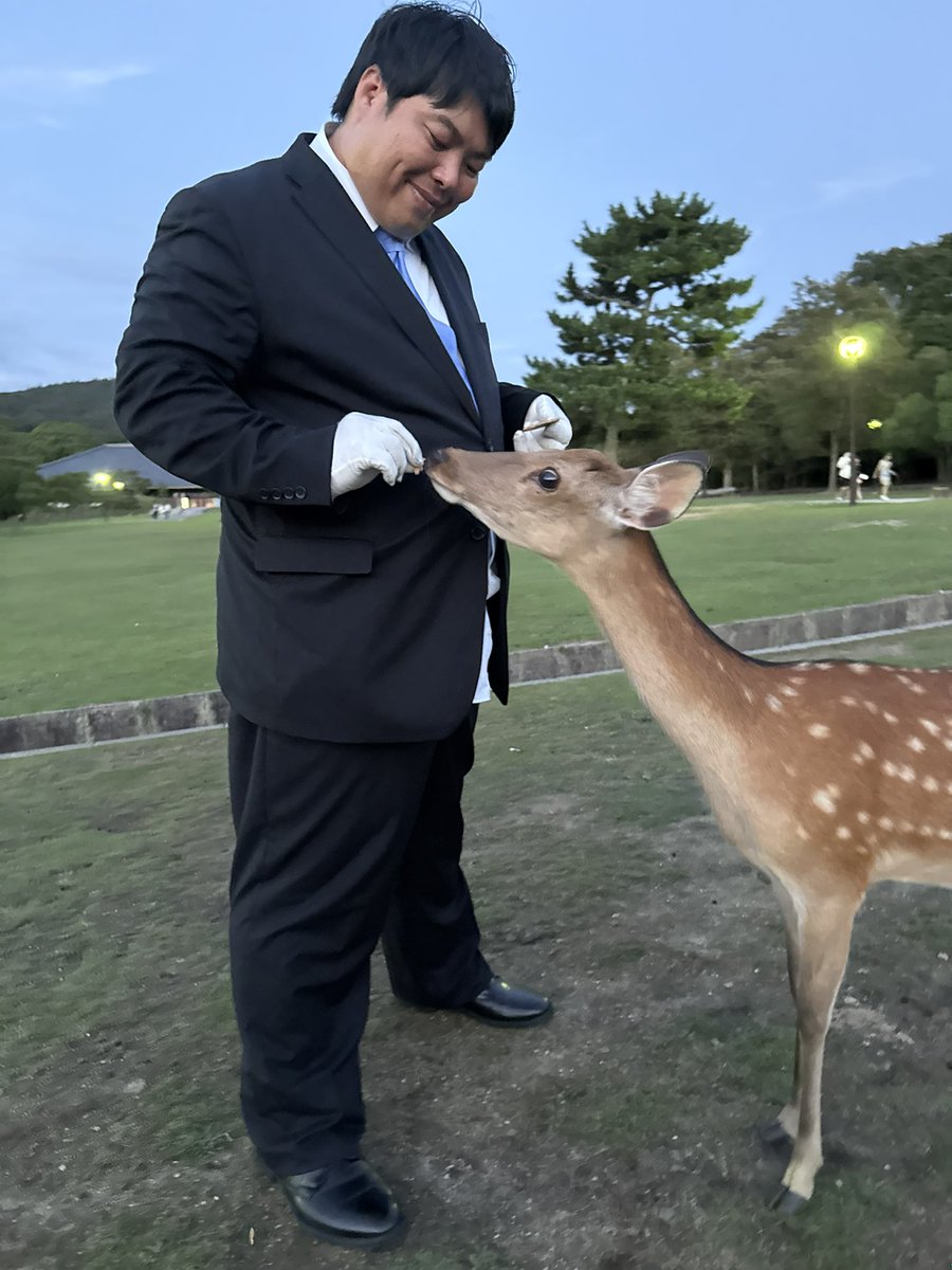 hezuruy's tweet image. 奈良市議会議員選挙明日が投票日です。
へずまりゅうに投票お願いします。
自分はこの一年間鹿さんをお守りして参りました。
言葉ではなく行動で示しました。
必ずトップ当選します。