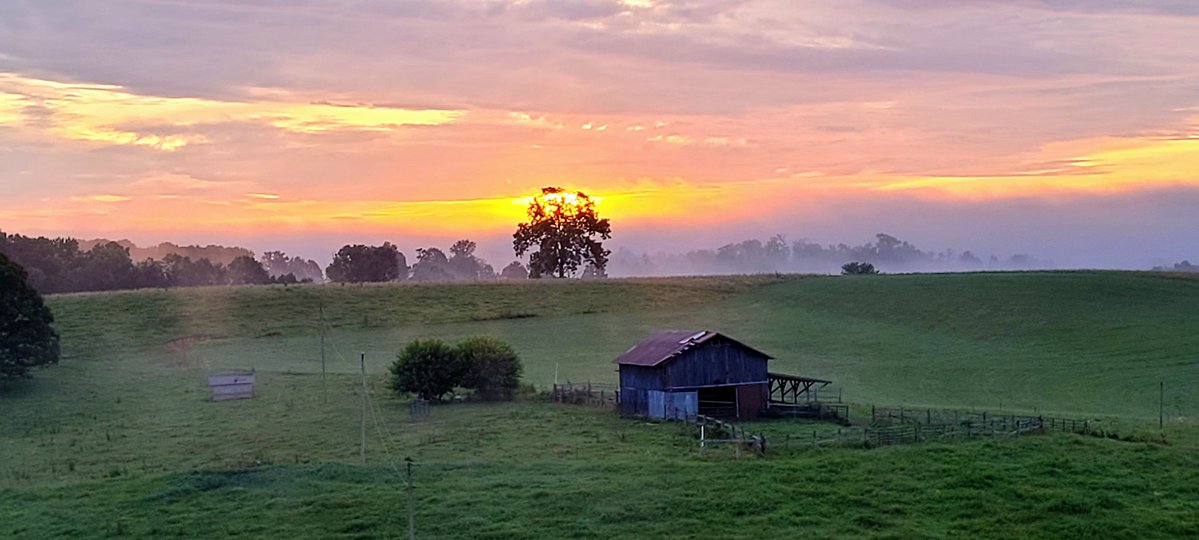 longhunter09's tweet image. A few more pictures from my morning run