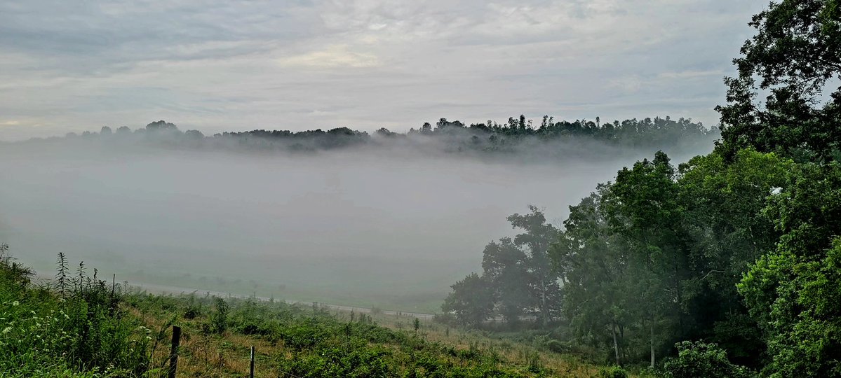 longhunter09's tweet image. A few more pictures from my morning run