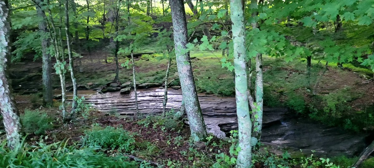 longhunter09's tweet image. A few more pictures from my morning run
