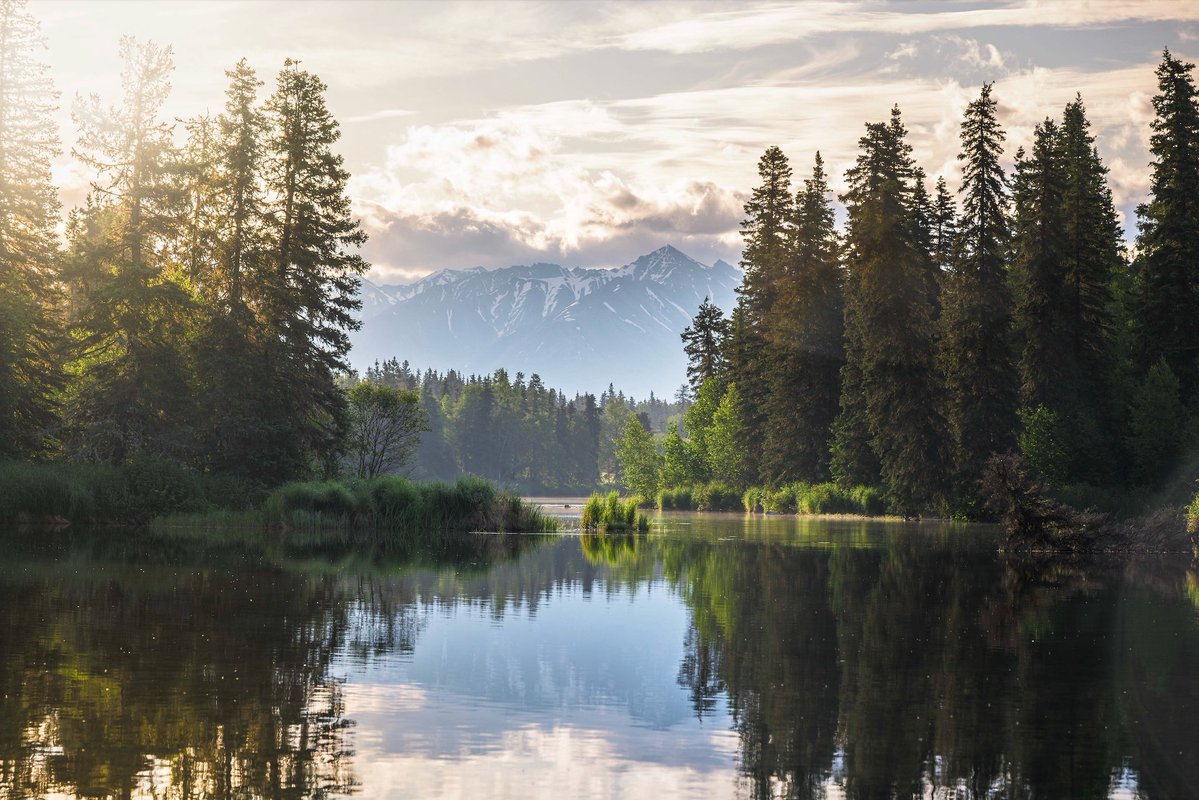 Franklin_Graham's tweet image. “Be anxious for nothing, but in everything by prayer and supplication, with thanksgiving, let your requests be made known to God; and the peace of God, which surpasses all understanding, will guard your hearts and minds through Christ Jesus.” (Philippians 4:6-7) #Alaska