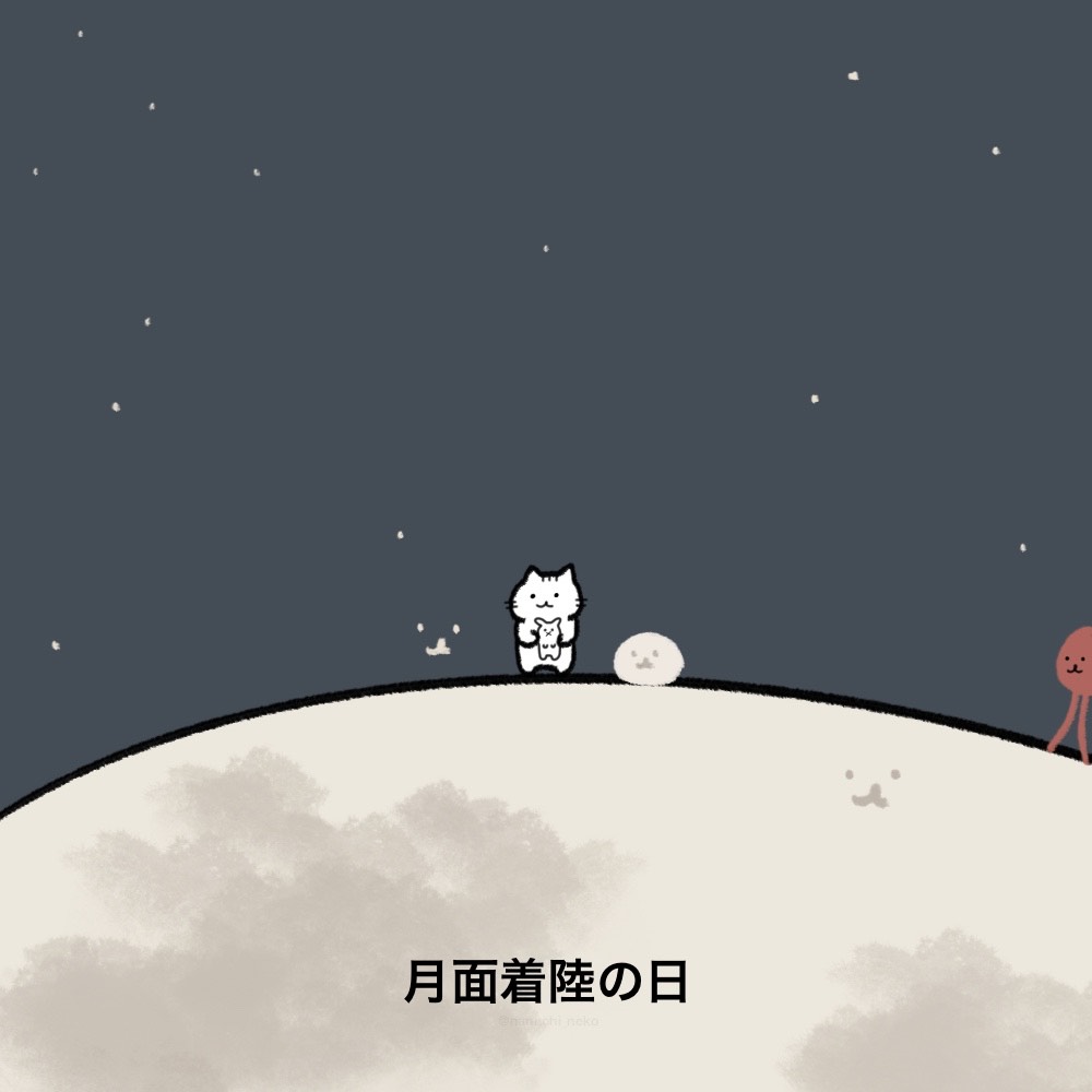 nannohi_neko's tweet image. #今日は何の日 #猫 #ねこ 
#月面着陸の日