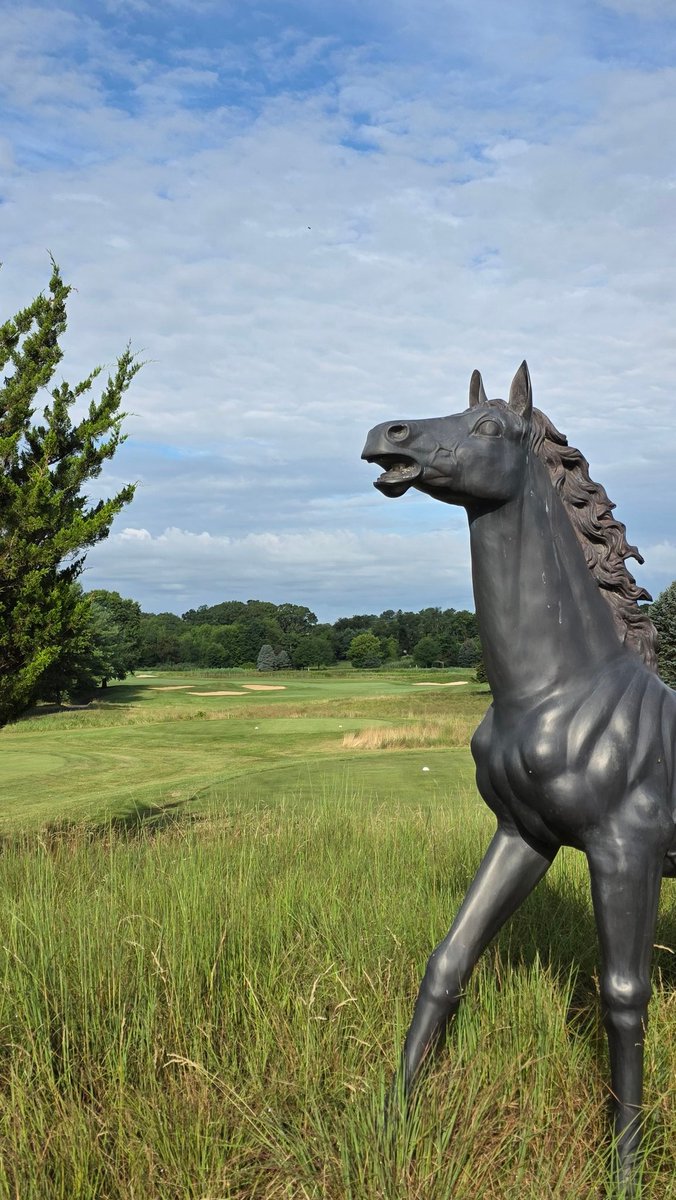 Nick (@nickpags_turf) on Twitter photo  Nick (@nickpags_turf) on Twitter photo