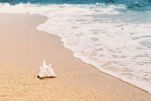 Macaia*, scimmia di luce e di follia,
foschia, pesci, Africa, sonno, nausea e fantasia..

Paolo Conte
Genova per noi

*in genovese, caldo umido quando soffia lo scirocco

#SabatoDEstate 
#VentagliP