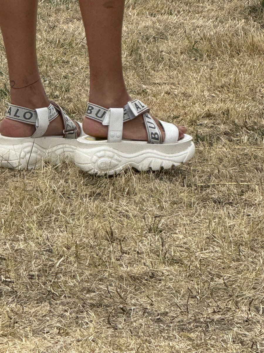 thenerd_be's tweet image. Vandaag leerde ik: Buffalo heeft een sandalen lijn 👀