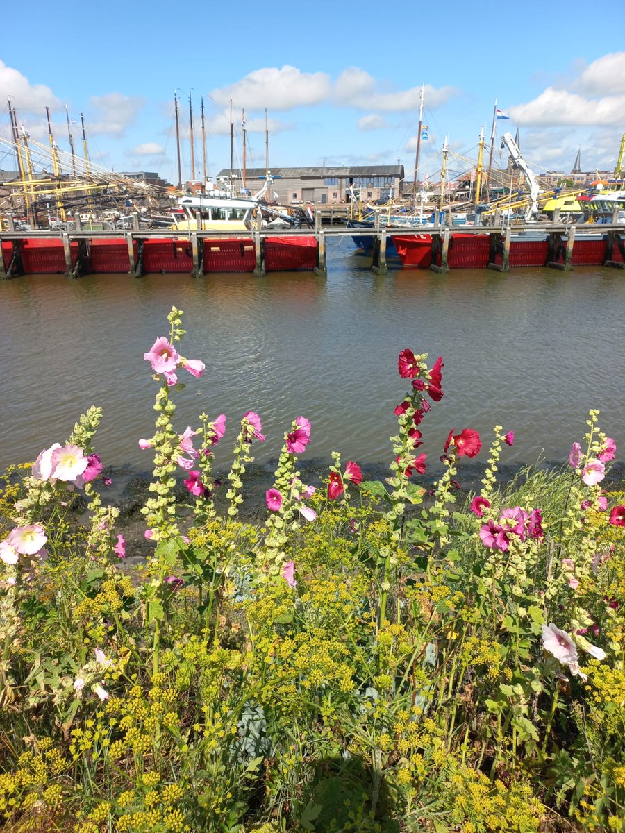 Zomer bij Het Brouwdok. 
Nu elke dag geopend vanaf 11:00. Lekker lang genieten!

Met een nieuwe lunchkaart ❤️