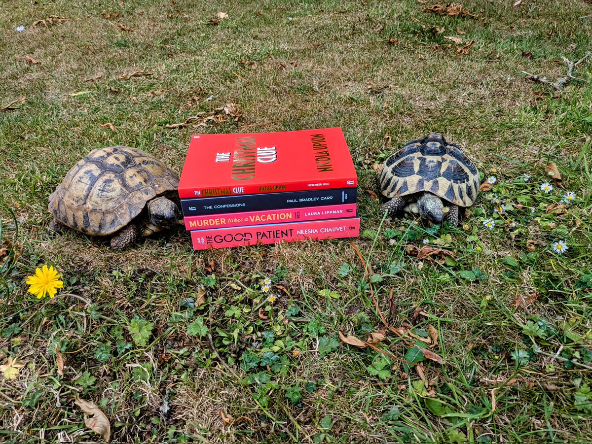 karlou's tweet image. Huge thanks to @FaberBooks for sending me a fabulous #HarrogateAtHome box. It's the next best thing to being at @HarrogateFest!
The cat insisted on photobombing and so we did a photo shoot with the dog and tortoises too! #TheakstonsCrime