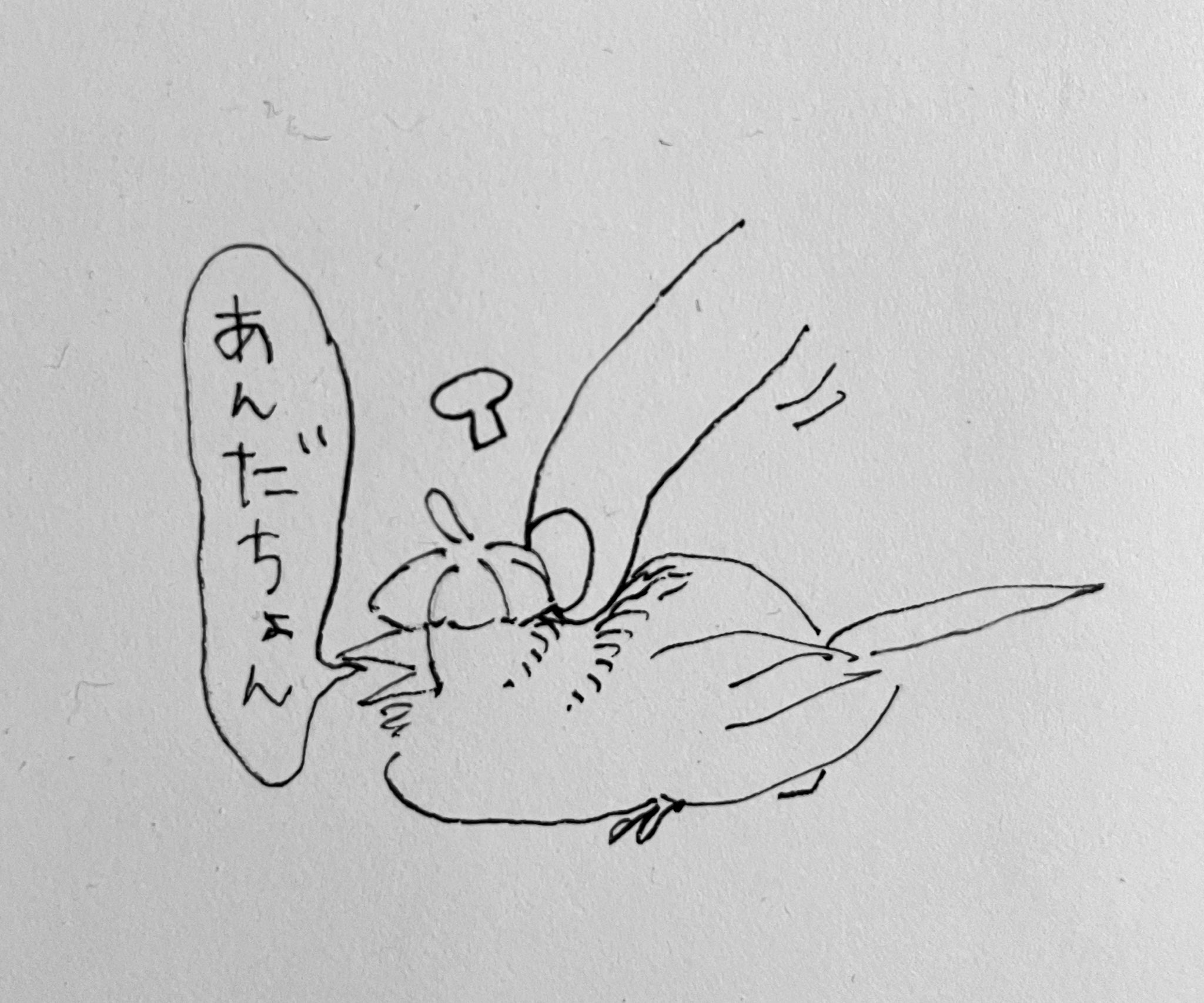 炭(sumi) (@19sumi88) / X