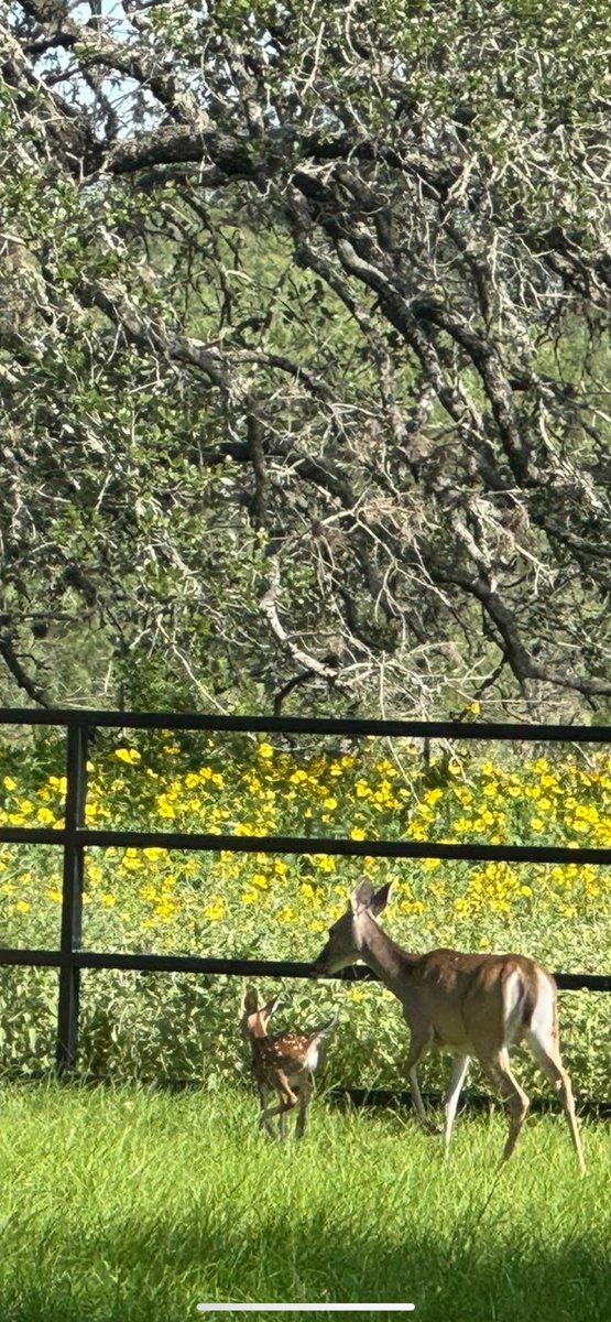 Blessings for a great Saturday🙏🏻  
Family photo to start my day, what a happy scene!  Look for your joy in all the little things today. Love you all!❤️🙏🏻🌺🌹
