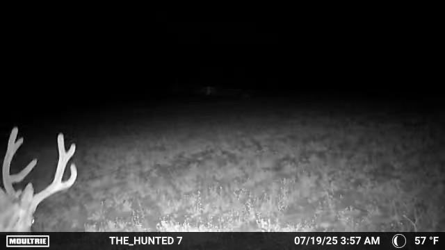 TheHuntedtv tweet media