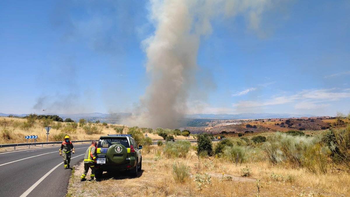 Incendio forestal en Arroyomolinos (Ribera de San Pedro).

Están actuando 3 helicópteros y 6 dotaciones de BomberosCM, pedimos responsabilidad vecinal.

La M-413 está cortada al tráfico.

Ante cualquier emergencia: 112.