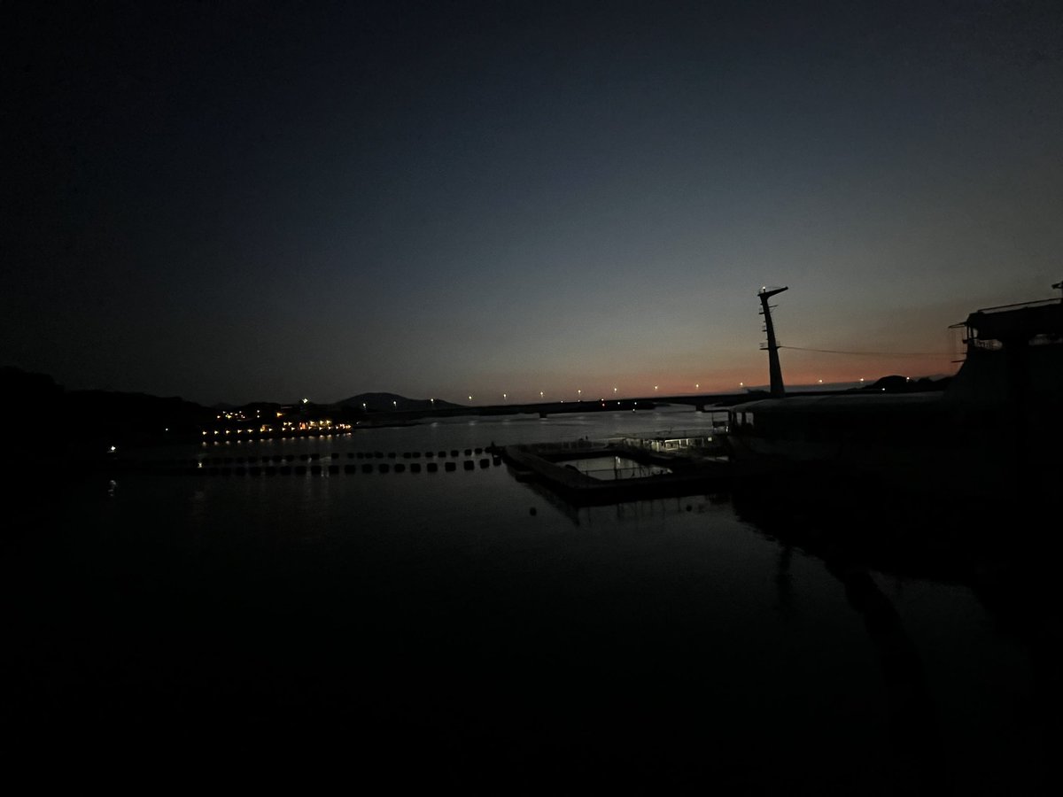 seadonut's tweet image. 本日からホラーナイト水族館始まりました👻
明日も行いますので、大人のみなさんは選挙に行ってから来てくださいね😊👍