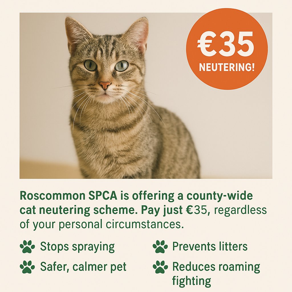 📷 Don’t Wait—Neuter &amp; Prevent the Suffering Cat
overpopulation leads to heartbreaking outcomes. But there’s a simple way to help: neuter your cat.
𝗖𝗮𝗹𝗹 𝘂𝘀 𝗮𝘁 𝟬𝟴𝟳 𝟬𝟱𝟬 𝟱𝟱𝟵𝟰 𝗯𝗲𝘁𝘄𝗲𝗲𝗻 𝟵𝗮𝗺 𝗮𝗻𝗱 𝟱𝗽𝗺 𝗠𝗼𝗻𝗱𝗮𝘆 𝘁𝗼 𝗙𝗿𝗶𝗱𝗮𝘆 𝘁𝗼 𝗼𝗿𝗴𝗮𝗻𝗶𝘀𝗲.