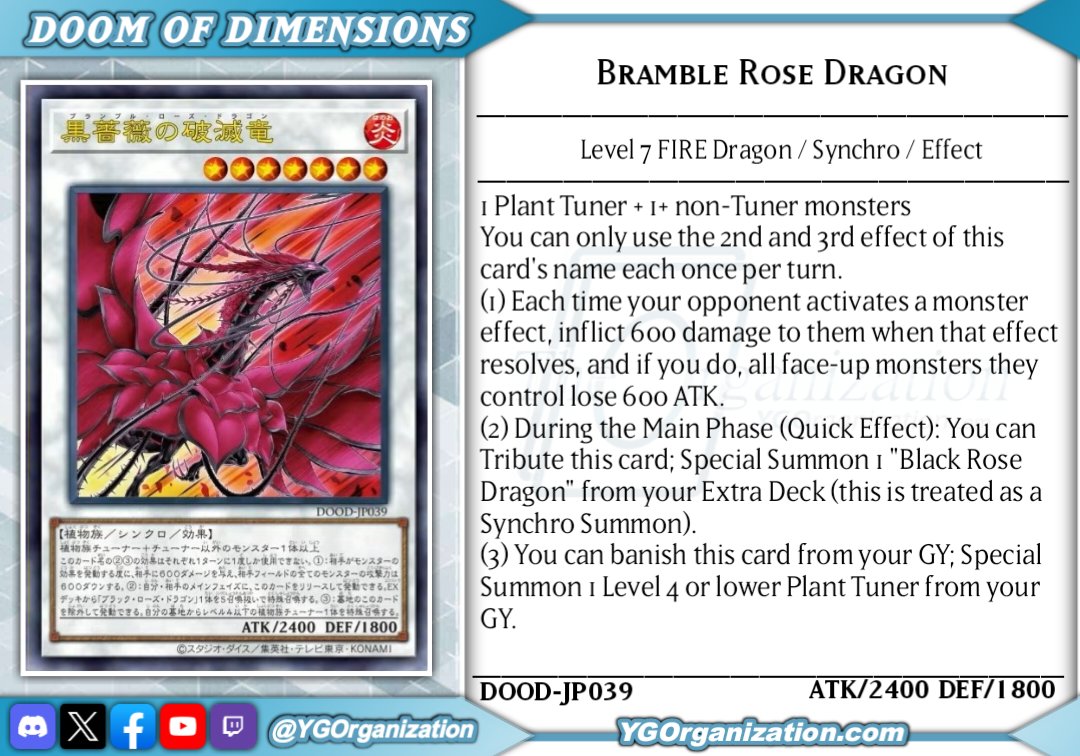 The Organization tweet media